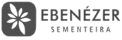 Ebenezer